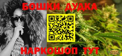 индика Кунгур