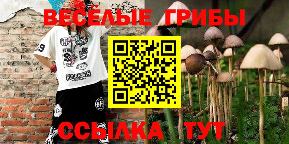 Псилоцибиновые грибы Psilocybine cubensis  Вход с VPN  Казань 