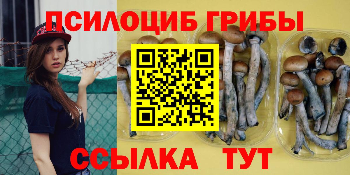 Псилоцибиновые грибы Magic Shrooms Казань